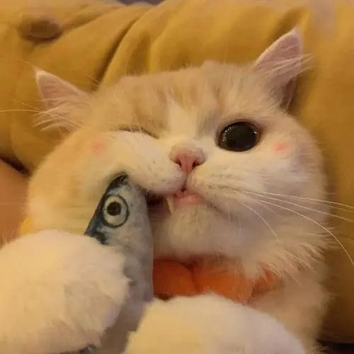 Trần Thùy Trang avatar